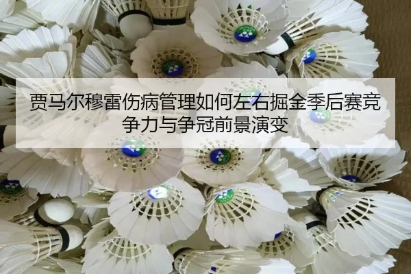 贾马尔穆雷伤病管理如何左右掘金季后赛竞争力与争冠前景演变